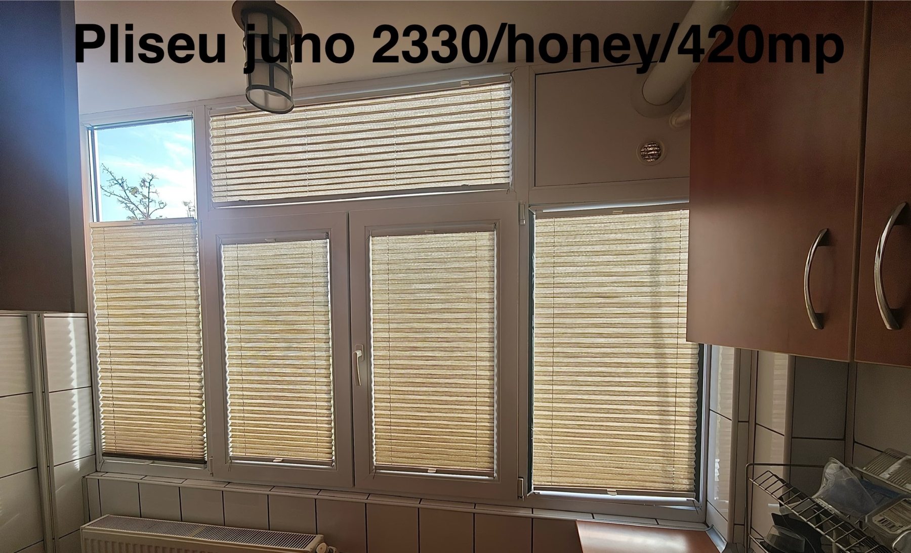 Plisee